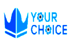 YourCasinoChoice logo site